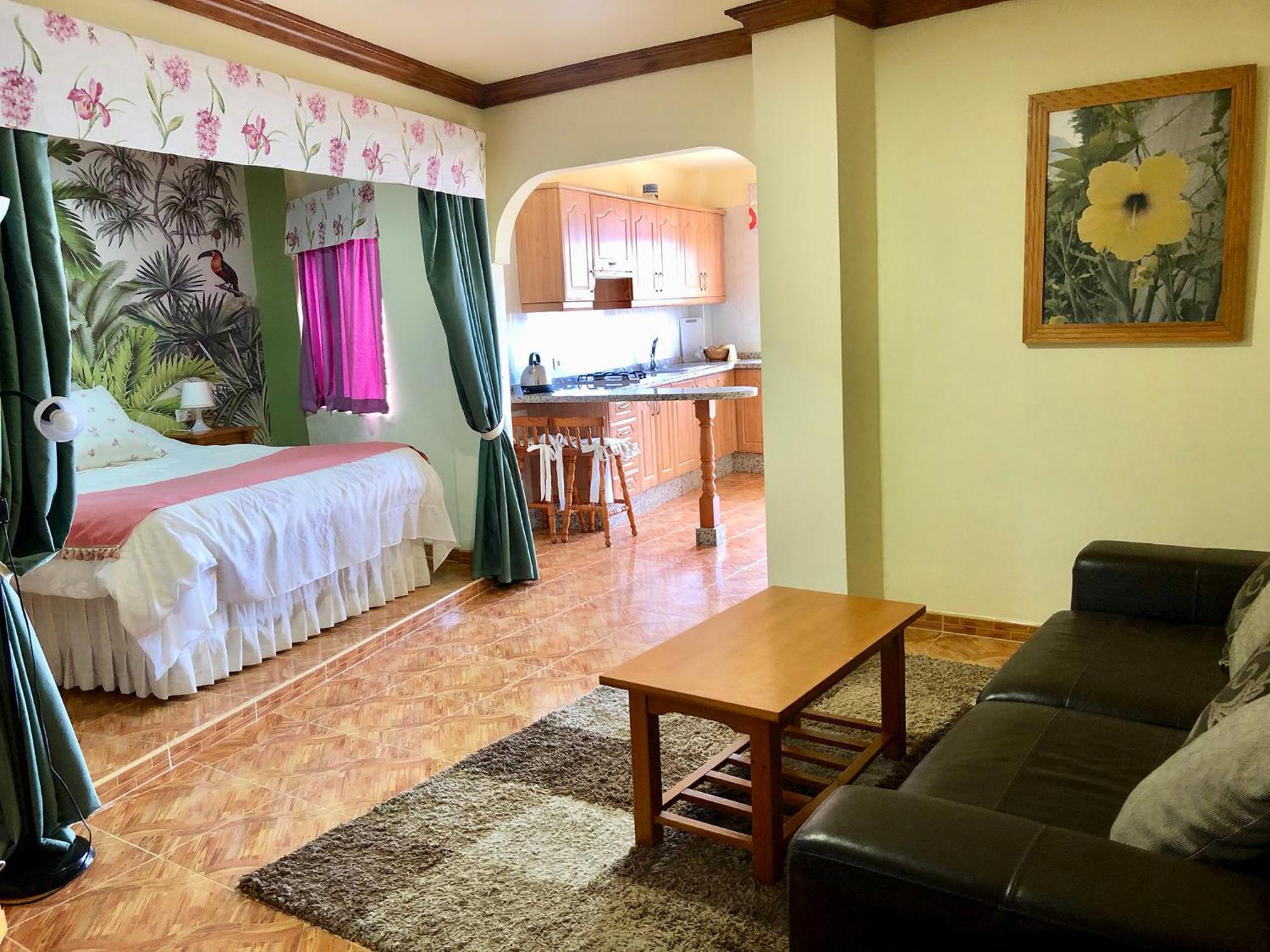 Vv Apartamentos Estrella Del Norte Icod De Los Vinos Zewnętrze zdjęcie
